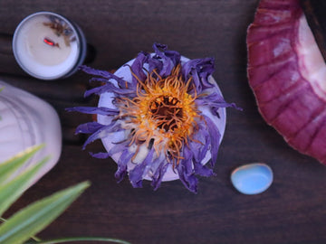 Magic Lotus Bath Bomb - Remedy Bath Co.